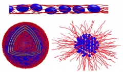 澳门金沙赌场_澳门金沙网址_澳门金沙网站_ amphiphilic systems are recurrent moti